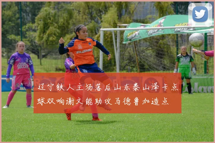 辽宁铁人主场落后山东泰山泽卡点球双响谢文能助攻马德鲁加造点