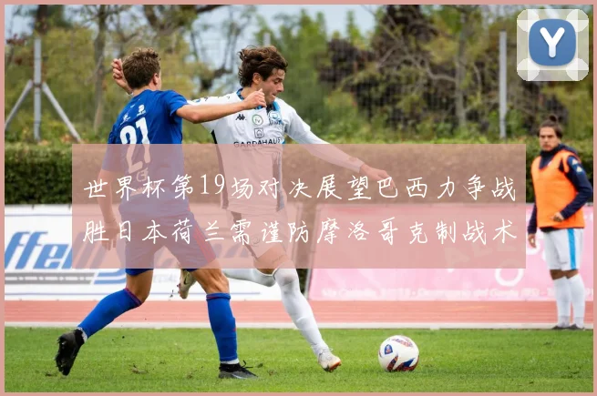 世界杯第19场对决展望巴西力争战胜日本荷兰需谨防摩洛哥克制战术